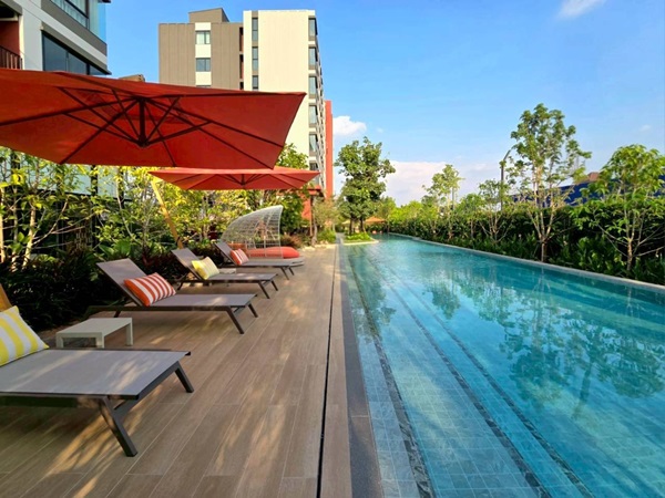 ดีคอนโด วิวิด รังสิต คอนโด ใกล้ ม.กรุงเทพ พร้อมอยู่ Fully Furnished แต่งครบ โทร 0654496399