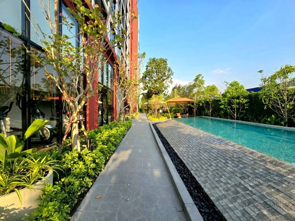 Dcondo Vivid Rangsit ใกล้ ม.กรุงเทพ พร้อมอยู่ Fully Furnished แต่งครบ โทร 065-4496399