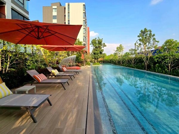 ดีคอนโด วิวิด รังสิต คอนโดตรงข้าม ม.กรุงเทพ ข้ามสะพานลอยก็ถึงมหาลัย พร้อมอยู่! โทร 0616161426